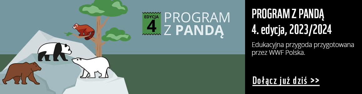 4. edycja Programu z Pandą