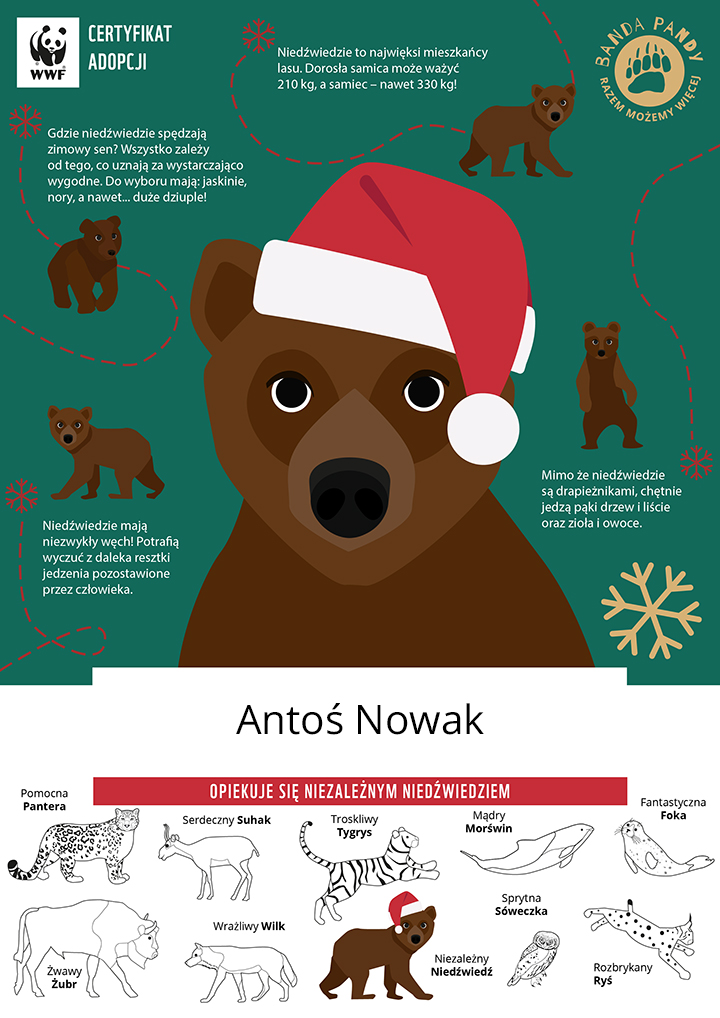 świąteczny certyfikat adopcji