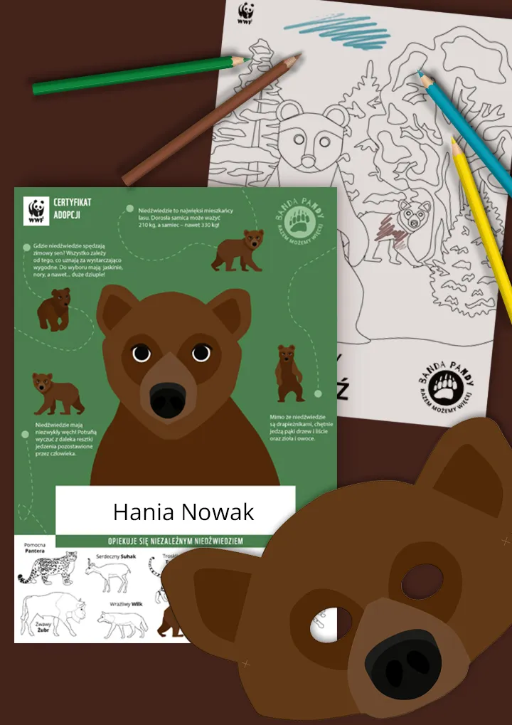 Certyfikat adopcji niedźwiedzia, kolorowanka i maska niedźwiedzia