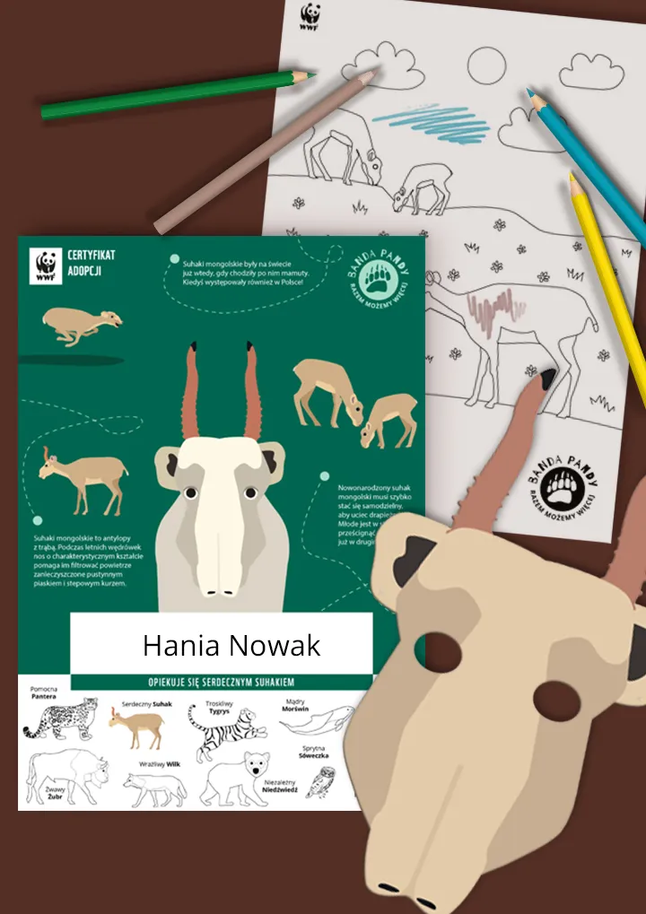 Certyfikat adopcji suhaka, kolorowana z suhakiem i maska suhaka