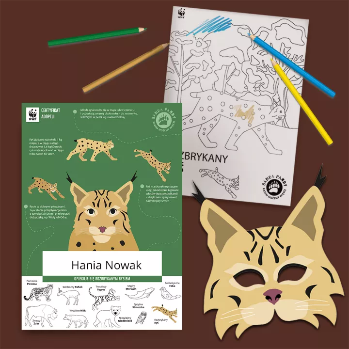 materiały bandy pandy - certyfikat, maska, kolorowanka