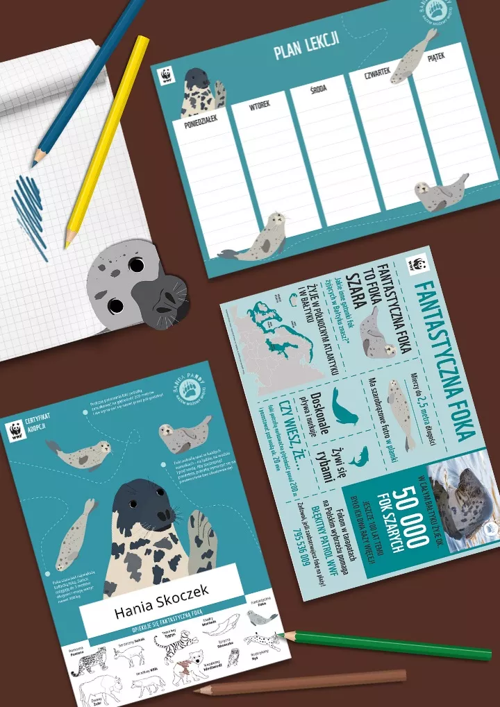 Certyfikat adopcji foki oraz materiały do edukacji i zabawy