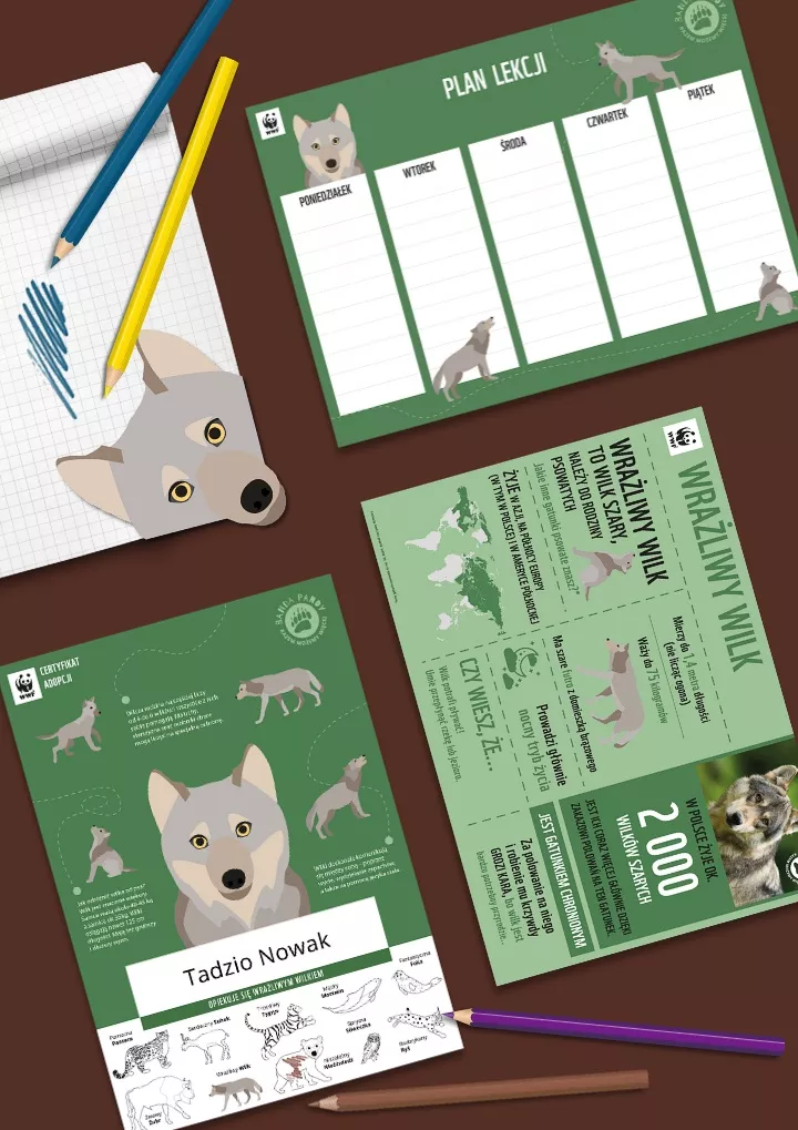 Certyfikat adopcji wilka oraz materiały do edukacji i zabawy