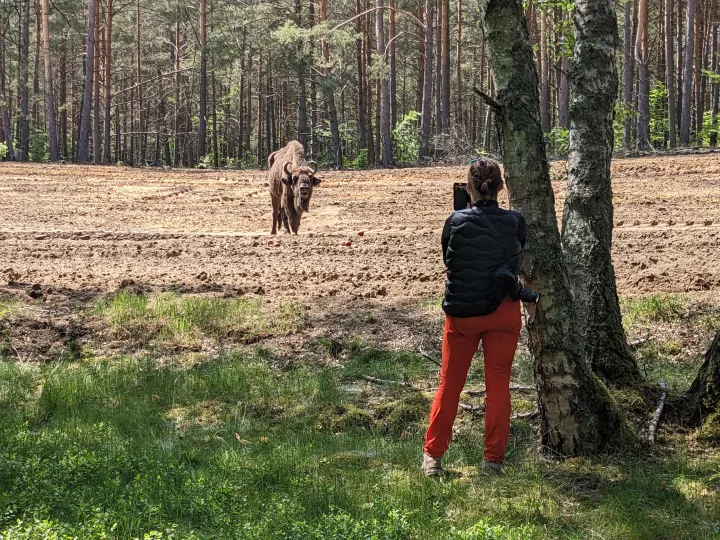 Filantropka Małgorzata Lasota - żubr