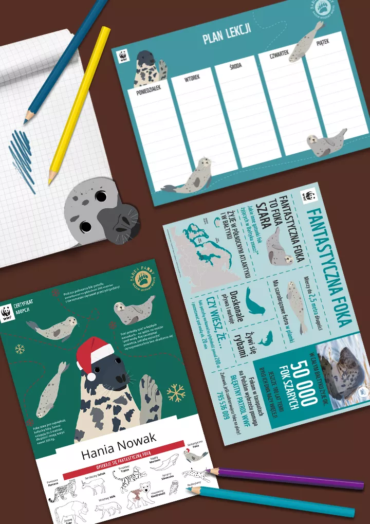 Świąteczny certyfikat adopcji foki i materiały edukacyjne