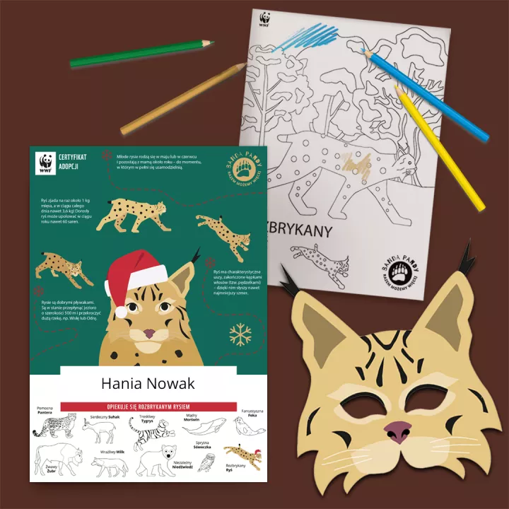 Świąteczny certyfikat adopcji Bandy Pandy i materiały do zabawy