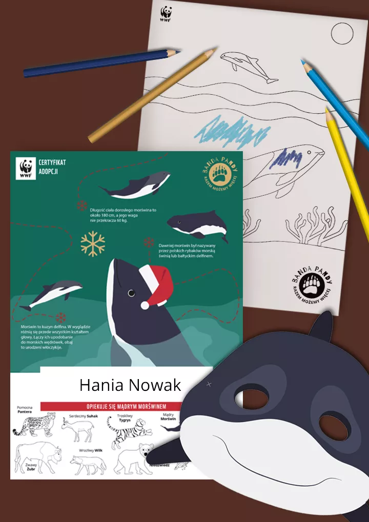 Świąteczny certyfikat adopcji morświna, kolorowanka i maska