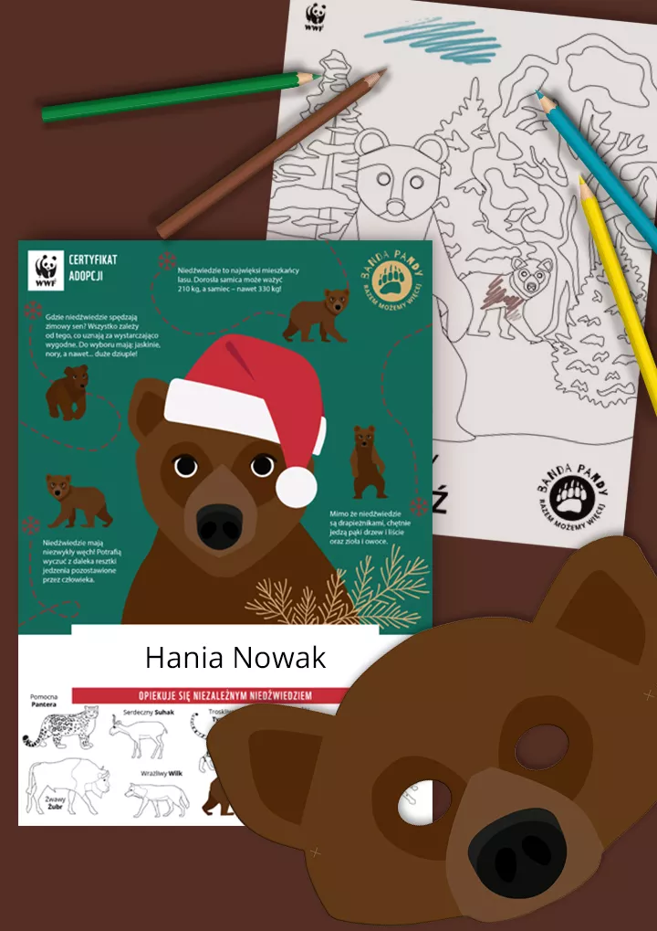 Świąteczny certyfikat adopcji niedźwiedzia, kolorowanka i maska
