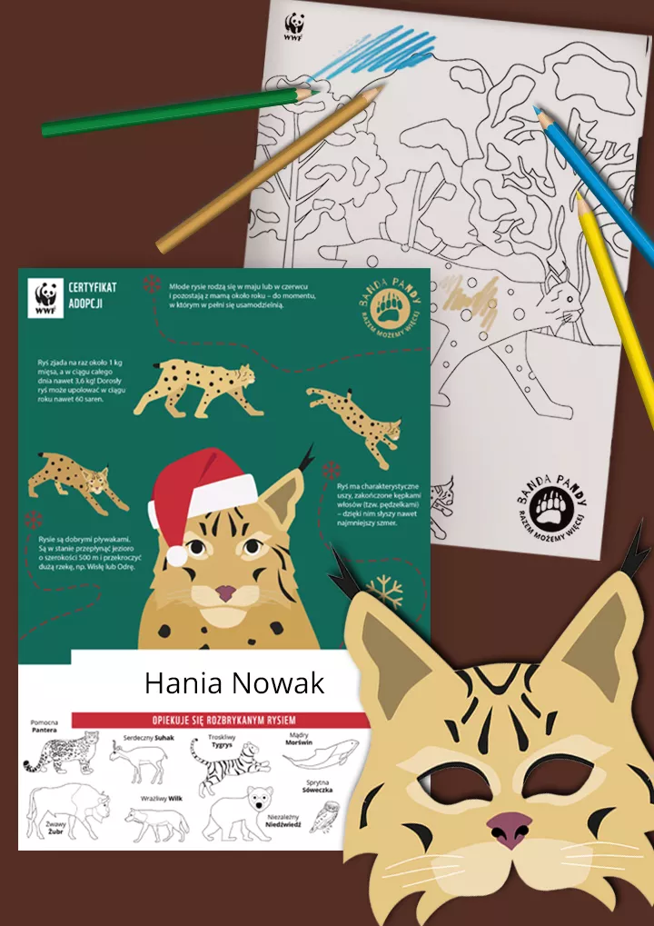 Świąteczny certyfikat adopcji rysia, kolorowanka i maska