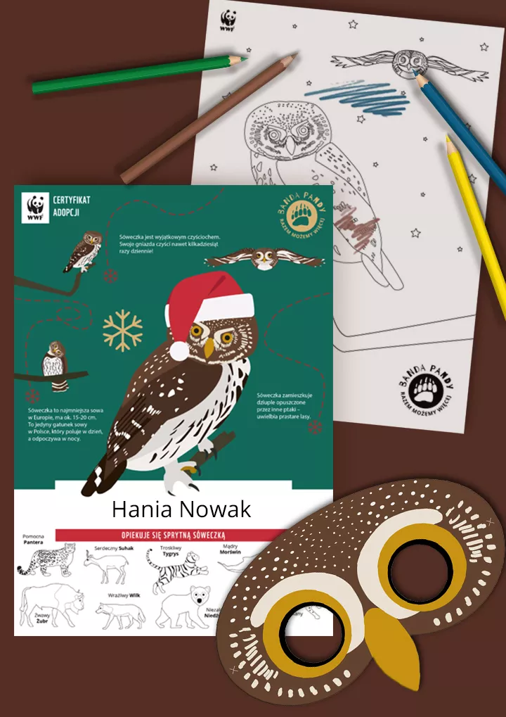 Świąteczny certyfikat adopcji sóweczki, kolorowanka i maska