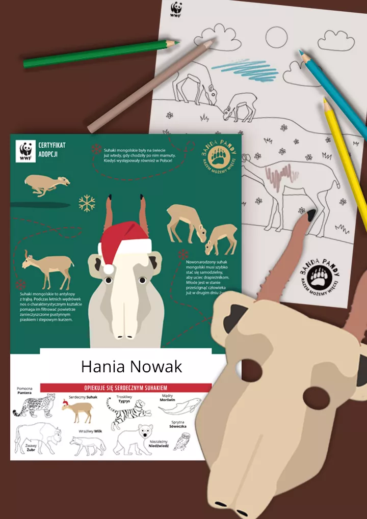 Świąteczny certyfikat adopcji suhaka, kolorowanka i maska