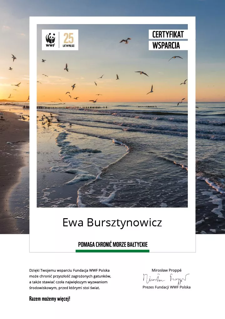 certyfikat wsparcia morza bałtyckiego