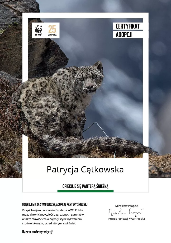 certyfikat adopcji pantery
