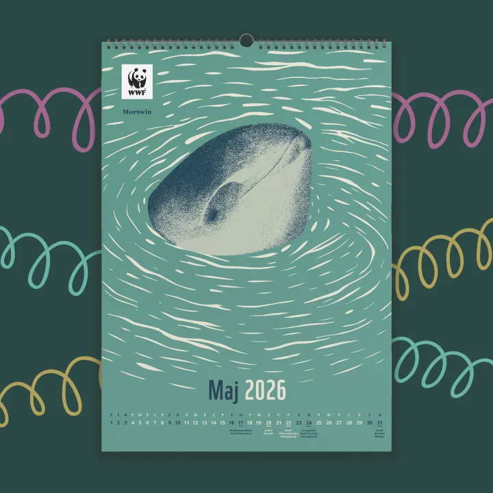 Kalendarz ścienny WWF na rok 2026: maj, morświn