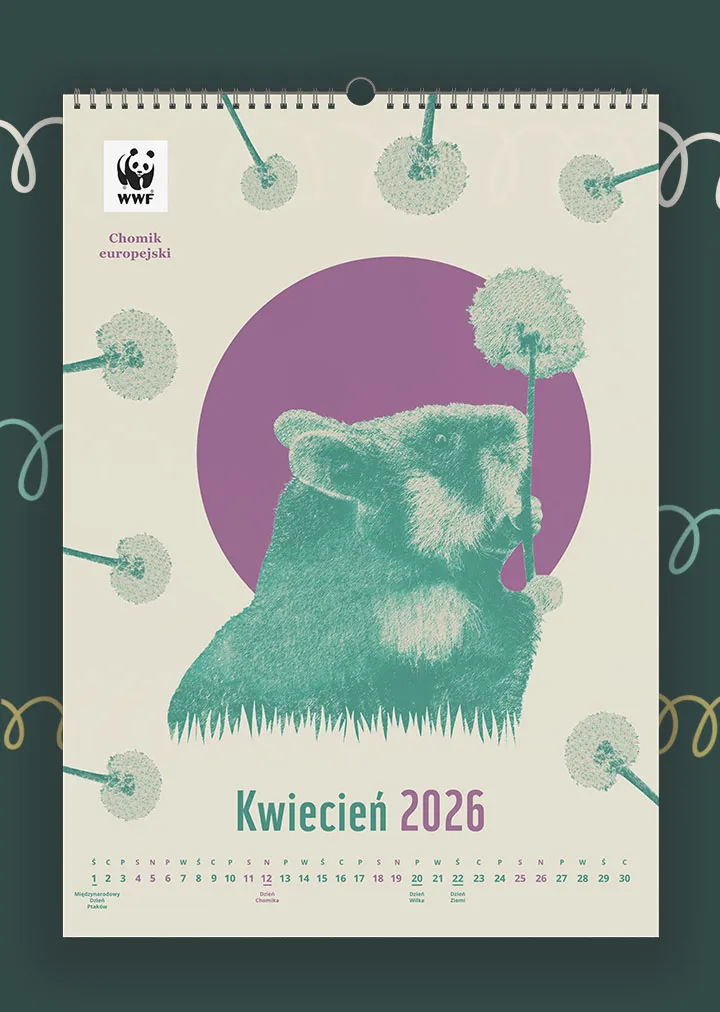 Kalendarz ścienny WWF na rok 2026: kwiecień, chomik europejski