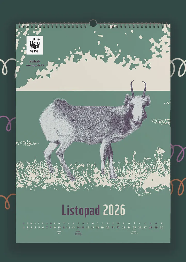 Kalendarz ścienny WWF na rok 2026: listopad, suhak mongolski