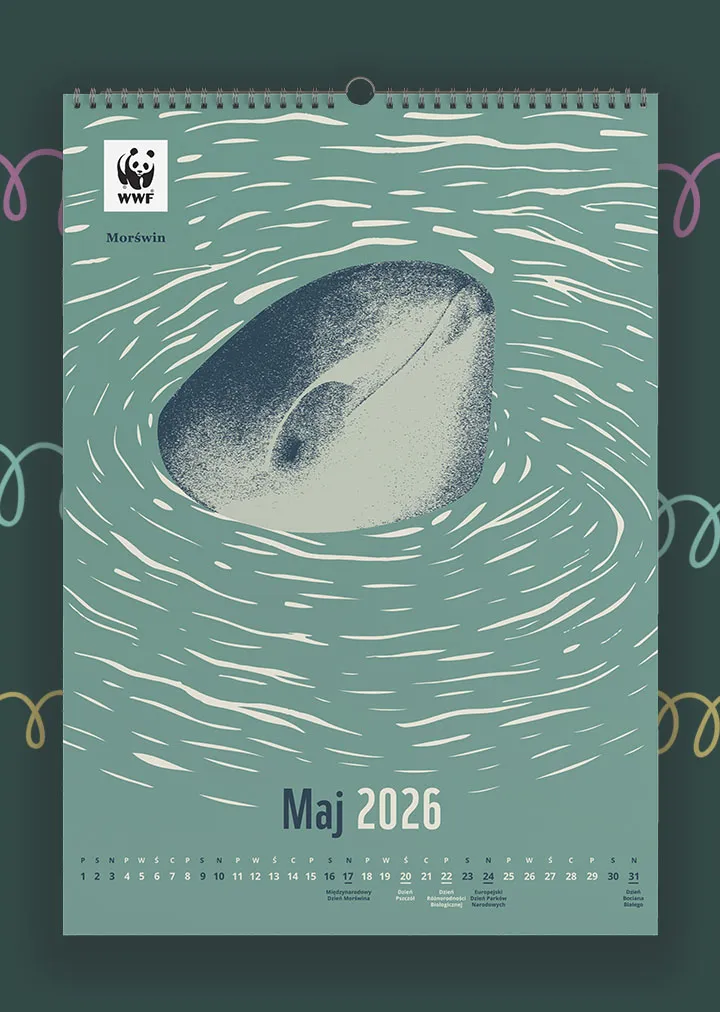 Kalendarz ścienny WWF na rok 2026: maj, morświn