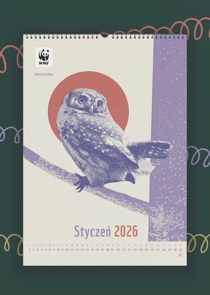 Kalendarz ścienny WWF na rok 2026: styczeń, sóweczka