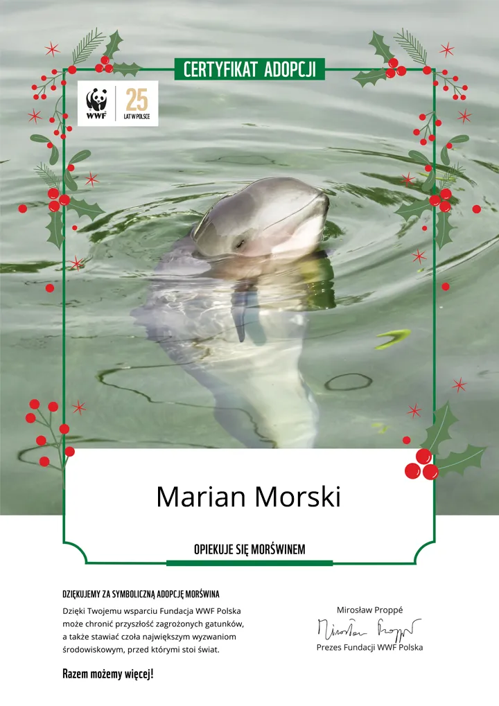 Świąteczny certyfikat adopcji morświna