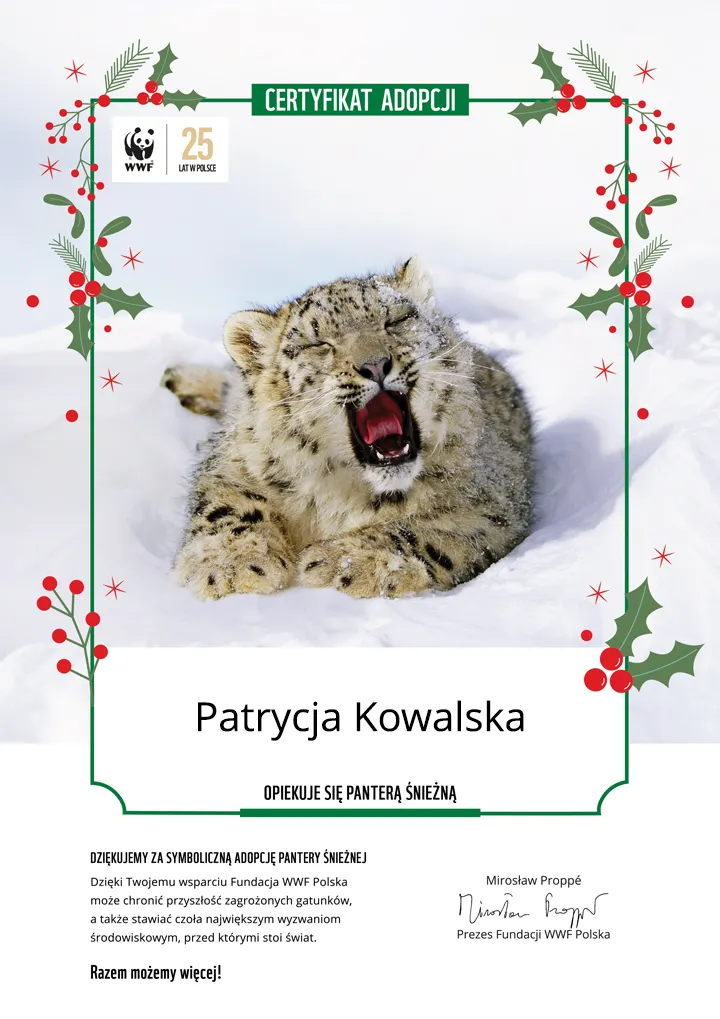 Świąteczny certyfikat adopcji pantery
