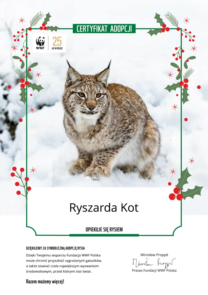 Świąteczny certyfikat adopcji rysia