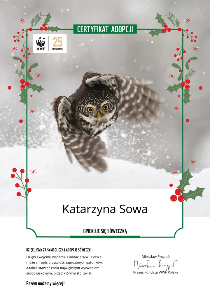 Świąteczny certyfikat adopcji sóweczki