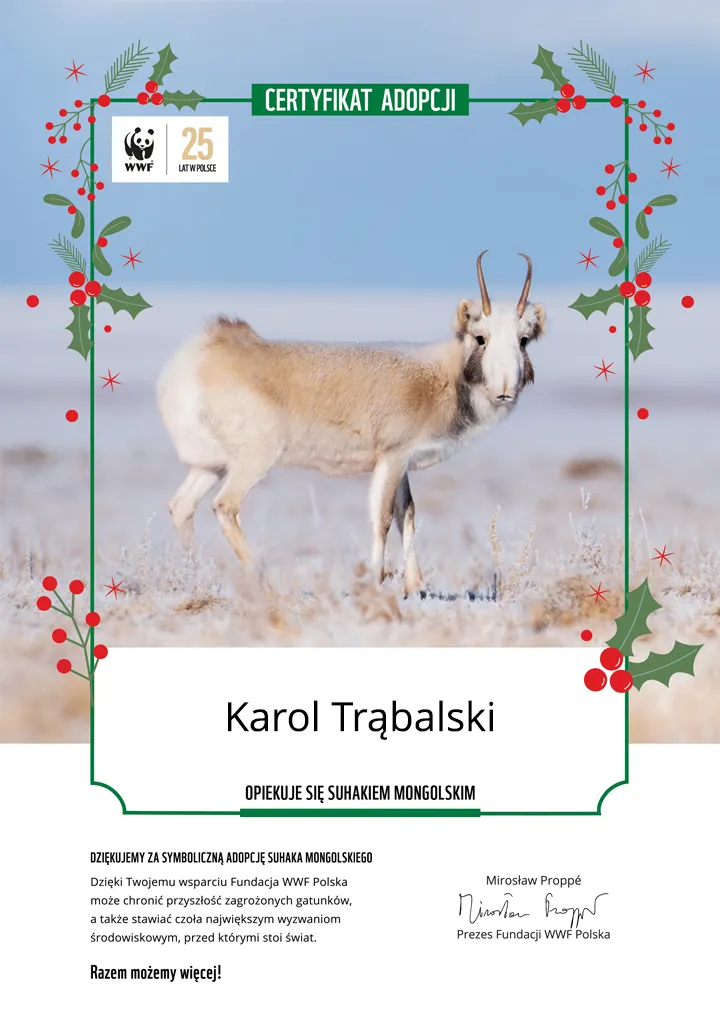 Świąteczny certyfikat adopcji suhaka