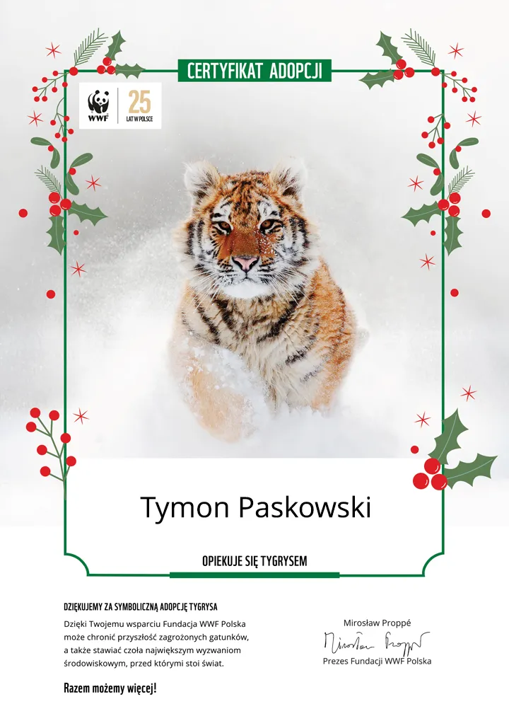 Świąteczny certyfikat adopcji tygrysa