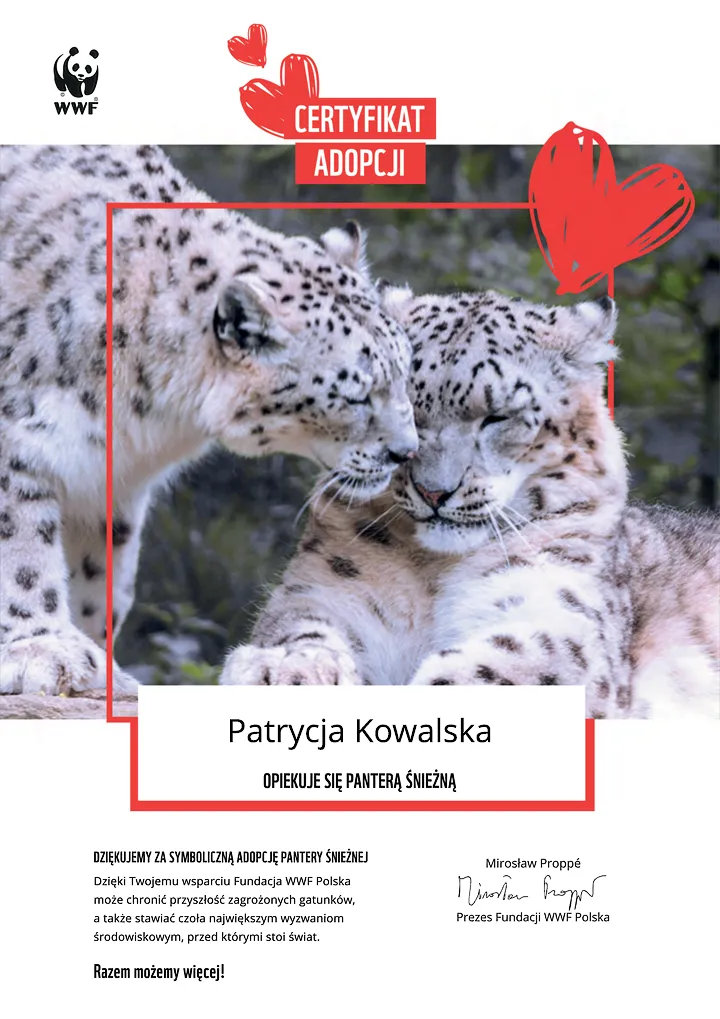 certyfikat adopcji pantery