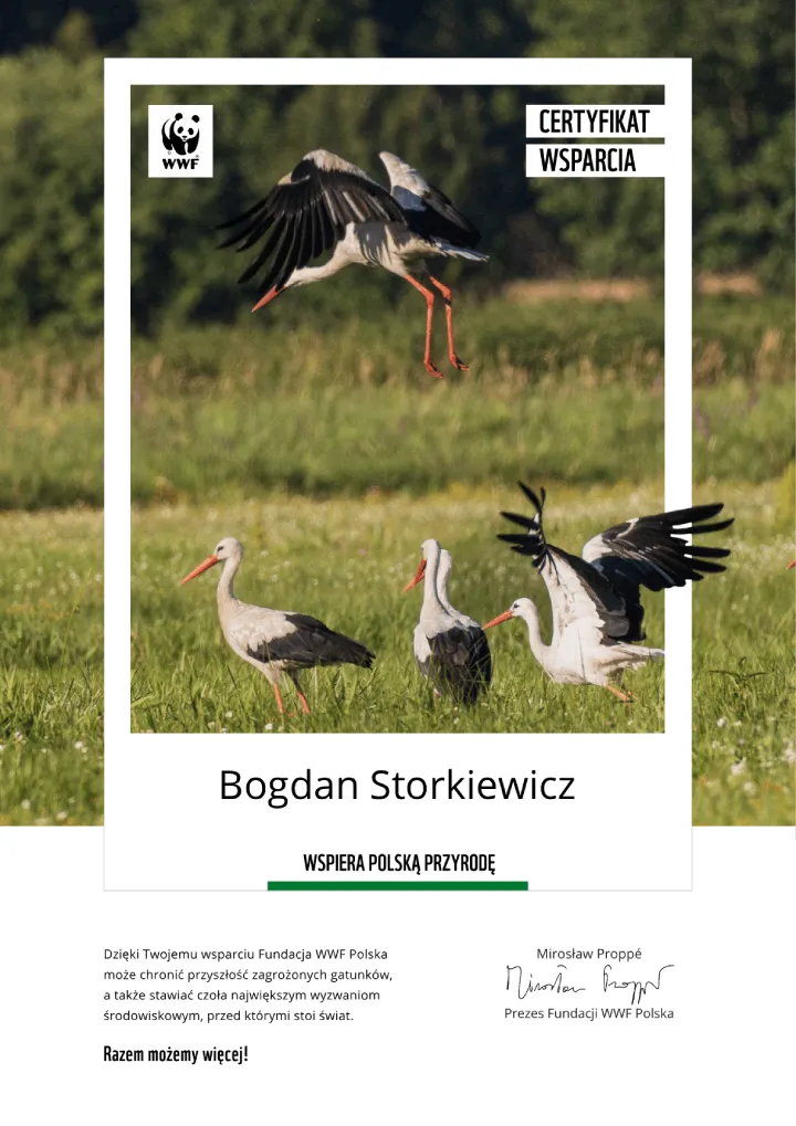 certyfikat wsparcia fundacji wwf