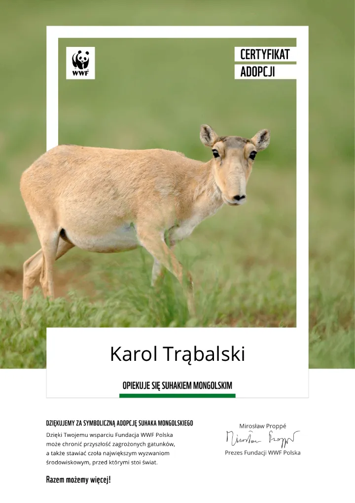 certyfikat adopcji suhaka