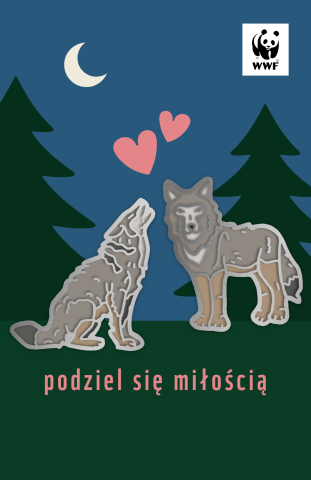 przypinki z wilkami