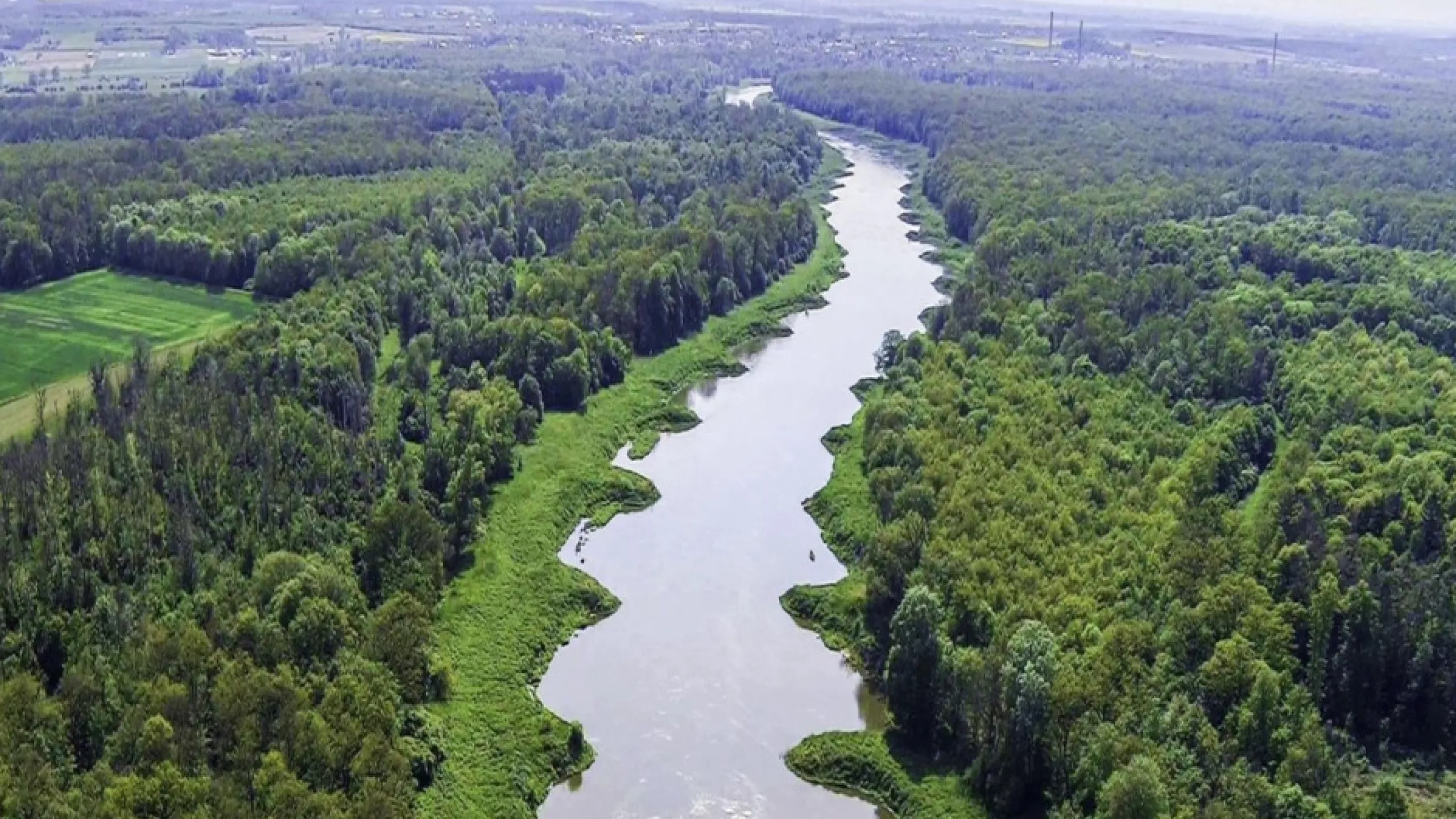 rzeka