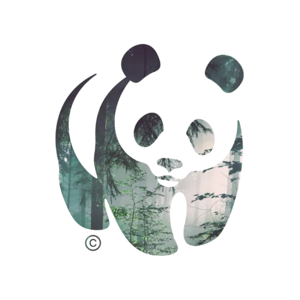 panda