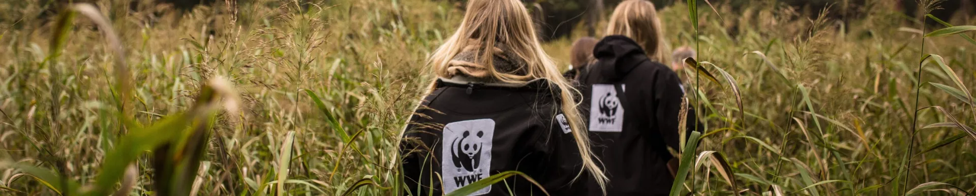 WWF