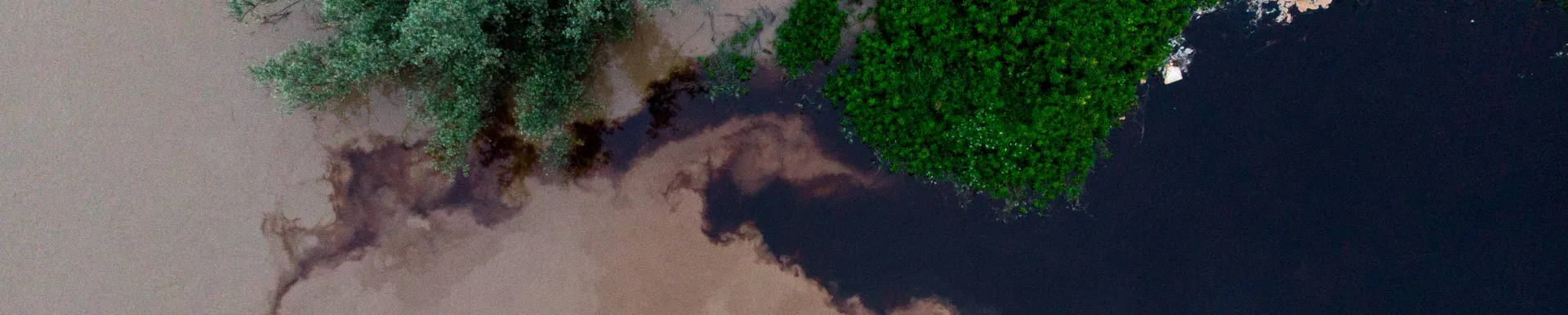 Ujście Barcówki, copyright: Piotr Bednarek