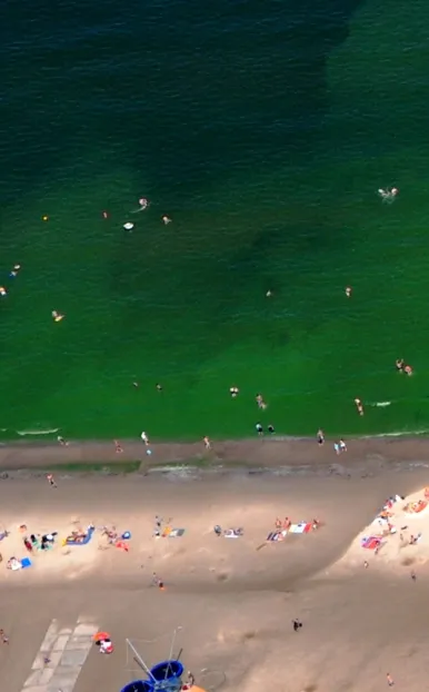 Zjawisko eutrofizacji, czyli przeżyźnienia Bałtyku