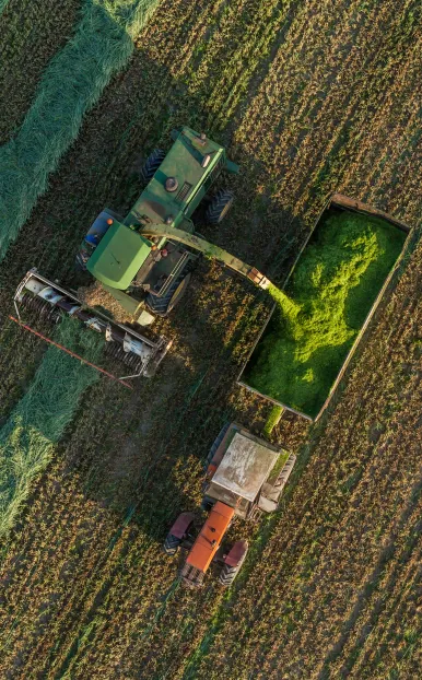 nowoczesne gospodarstwo rolnicze