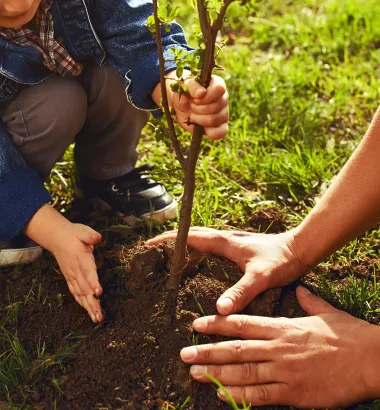 dziecko sadzące drzewo