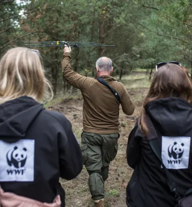 wwf polska