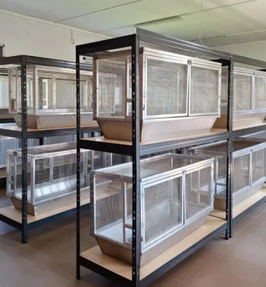 zimowisko dla chomików europejskich