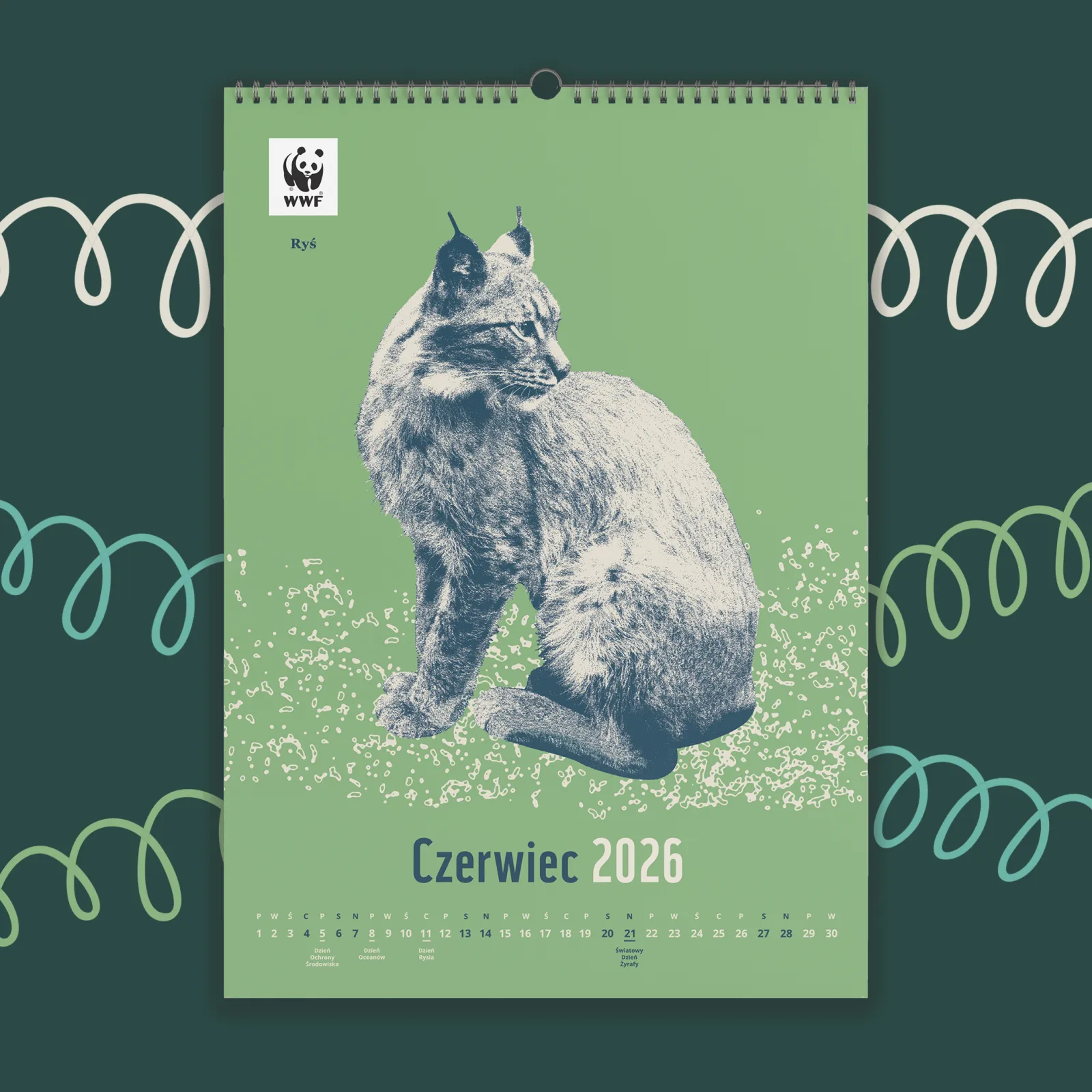 Kalendarz ścienny WWF na rok 2026: czerwiec, ryś