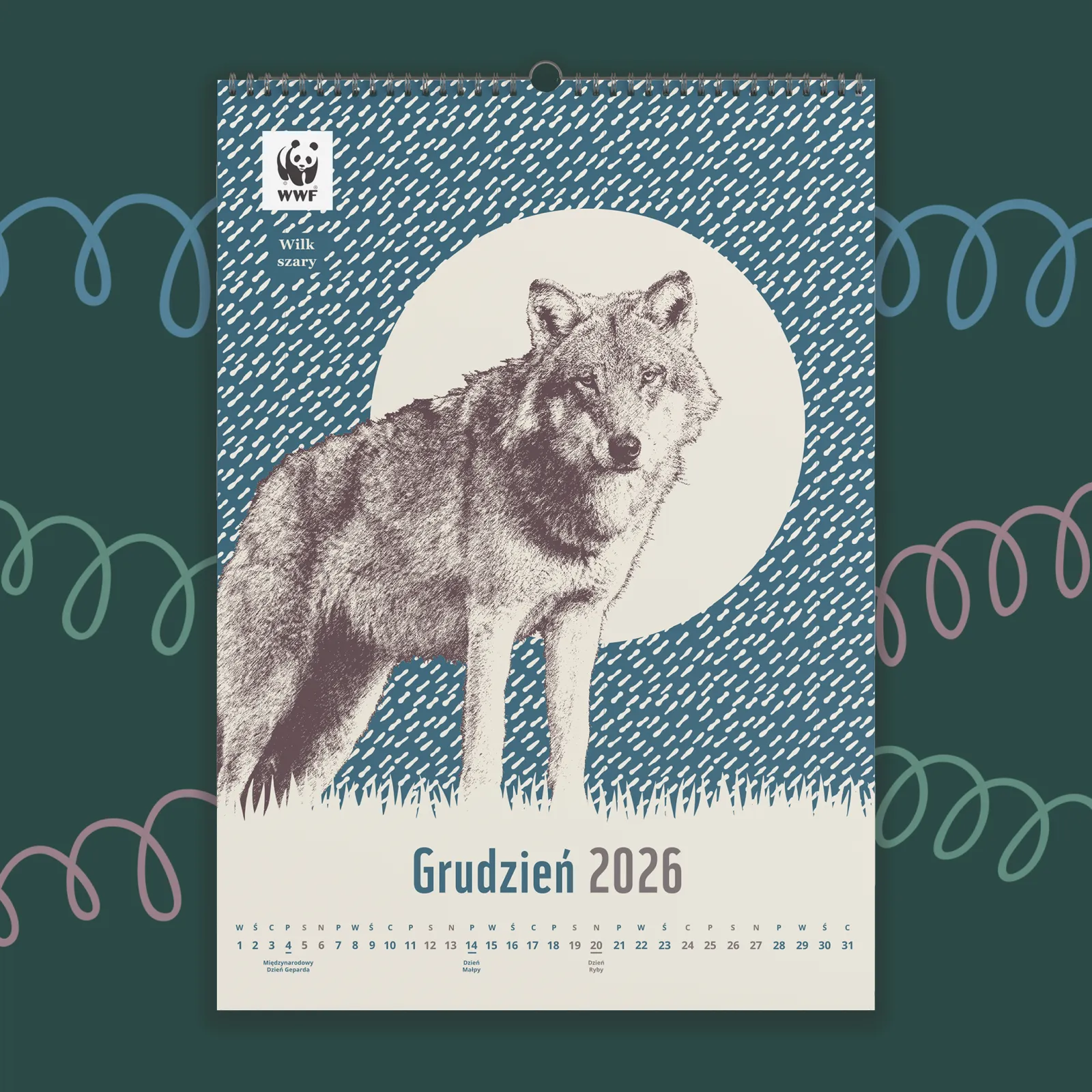 Kalendarz ścienny WWF na rok 2026: grudzień, wilk