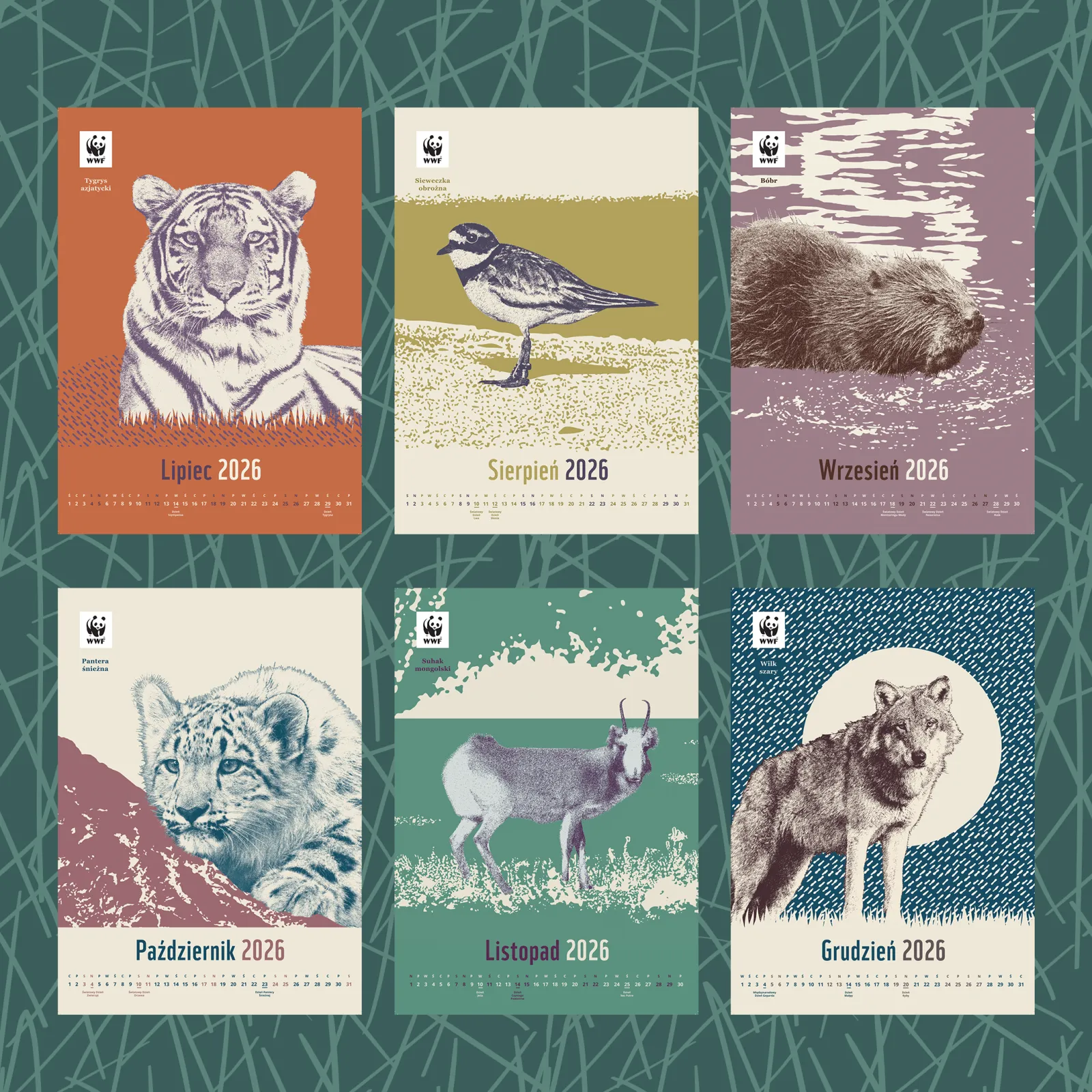 Kalendarz ścienny WWF na rok 2026: lipiec-grudzień