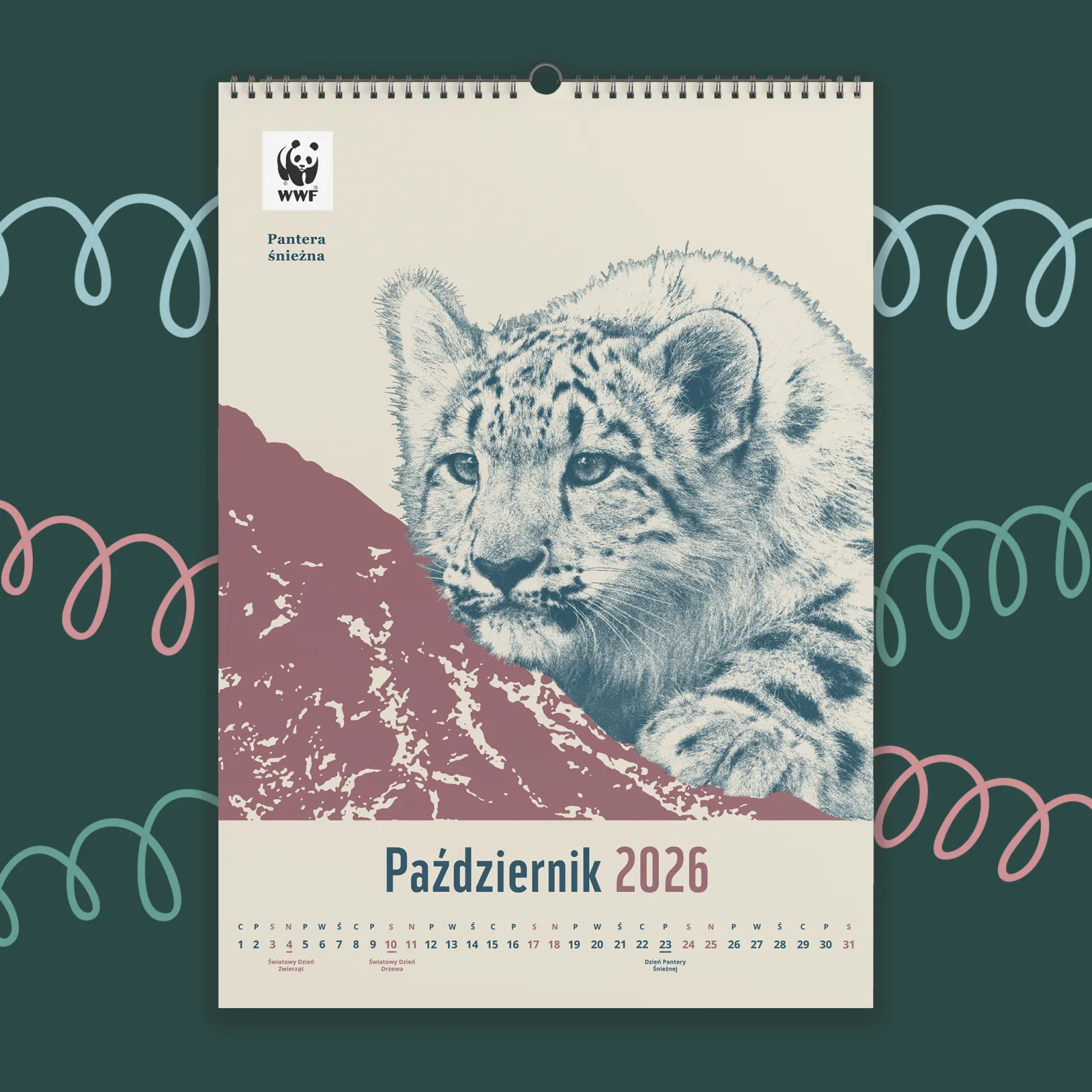 Kalendarz ścienny WWF na rok 2026: październik, pantera śnieżna