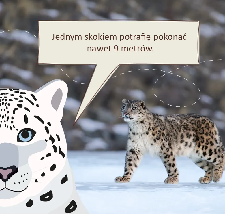 Pomocna Pantera: jednym skokiem potrafię pokonać nawet 9 metrów