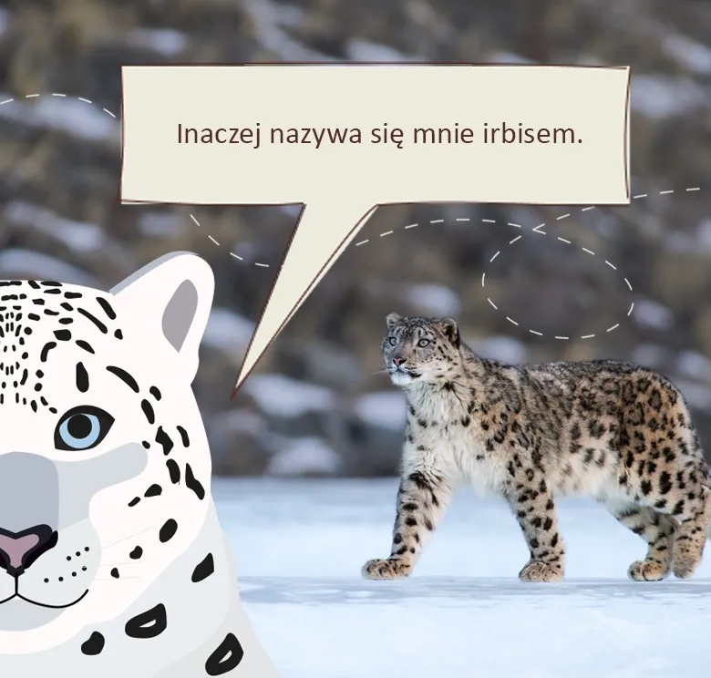 Pomocna Pantera: inaczej nazywa się mnie irbisem