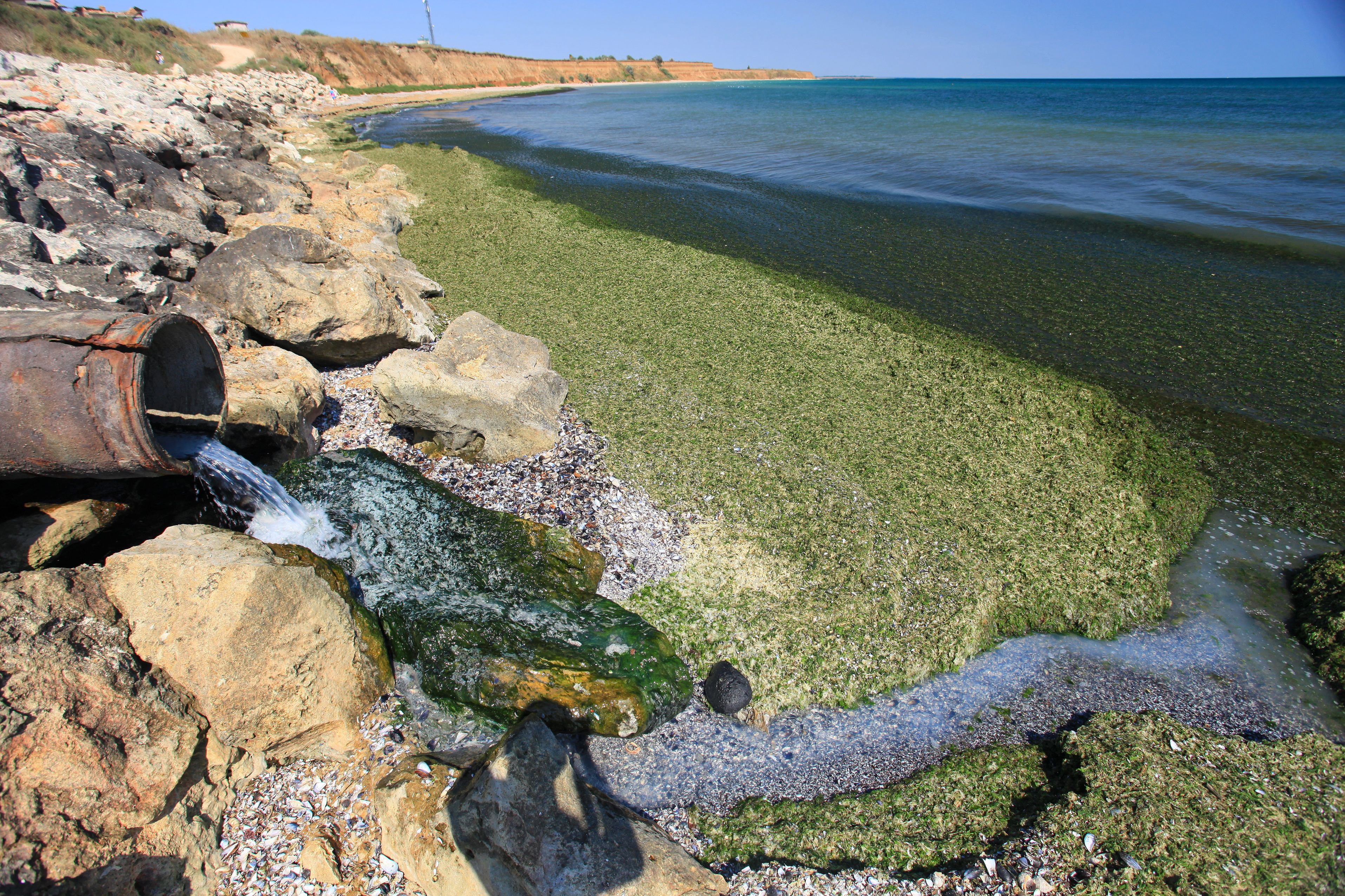 Стоки гор воды