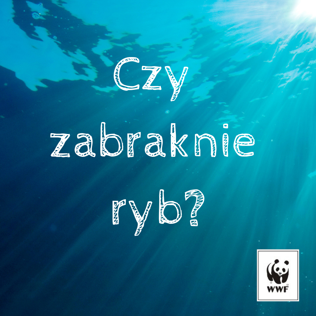 czyzabraknieryb