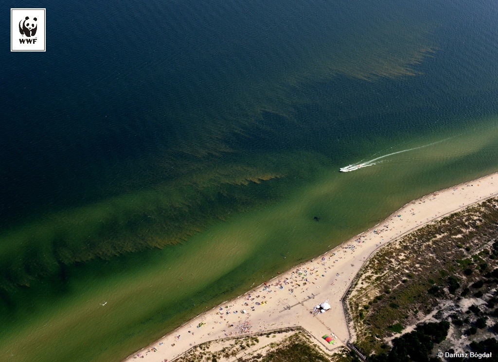 Bałtyk